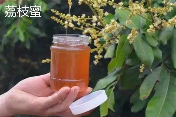 蜂蜜的种类，常见的有冬蜜、龙眼蜜等
