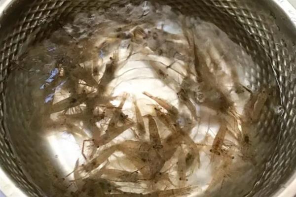 河虾的清洗方法，用盐水浸泡可清除细菌和寄生虫
