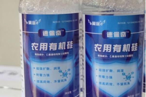 番茄叶霉病的症状，初期叶片出现淡黄色褪绿斑