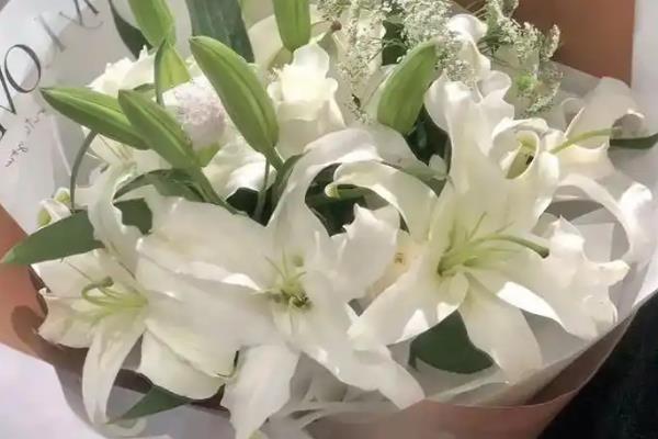 百合花有什么花语，代表美好幸福、深深祝福等含义
