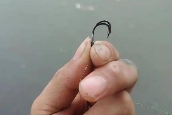 10号伊势尼能钓多大的鱼，能钓10斤的鱼