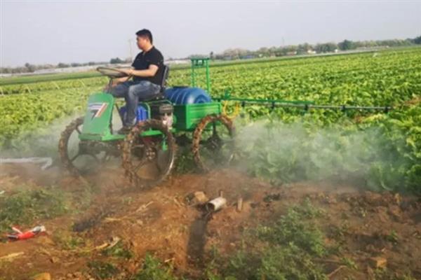 马铃薯的种植技术，种植前要施足基肥