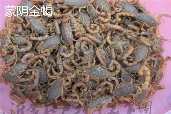 山东蒙阴县的特产，有蒙阴蜜桃、八宝豆豉等