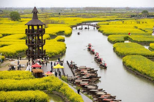 油菜花什么时候开花，一般在3-4月份开放