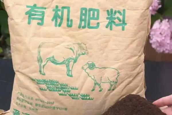 忍冬花被叫做忍冬的原因，新枝叶在冬季也不会掉落