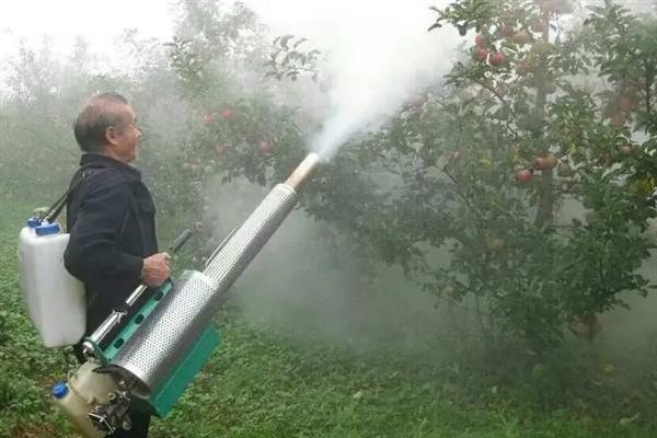 果树秋季开返花的原因及解决方法，可能是品种原因或果园管理不当