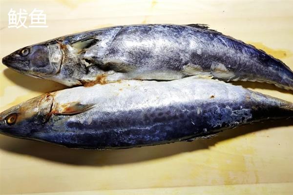 海水鱼的种类，常见的有小丑鱼、带鱼、鲅鱼等