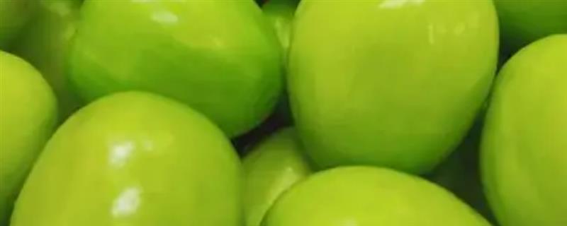青枣和冬枣的区别，形态特征和口感均不同