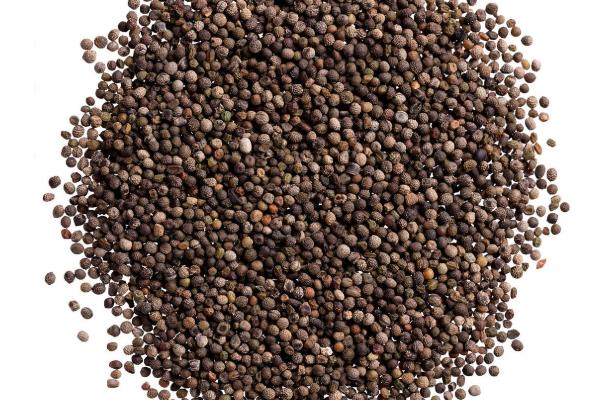 紫荆花怎么育苗，以扦插、播种为主