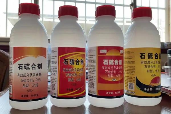 紫荆花怎么育苗，以扦插、播种为主