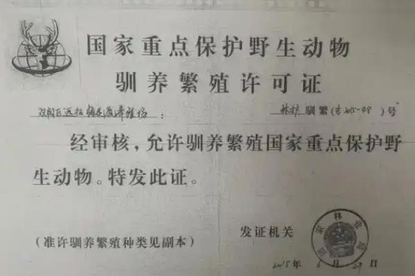 养殖鸵鸟要什么证件，需办理《野生动物驯养繁殖许可证》、《野生动物经营许可证》等手续