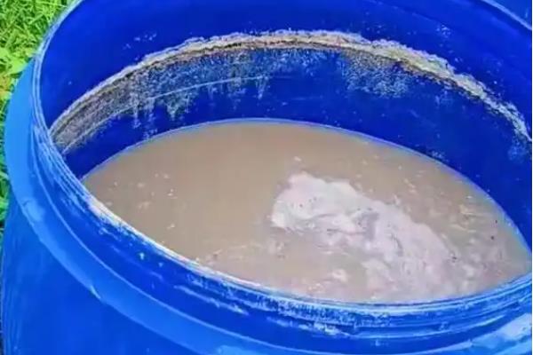 饼肥快速发酵且不臭的方法，准备好饼肥、发酵剂以及辅助材料