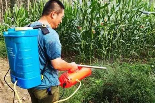 玉米用哪种肥料能高产，种植前需施足基肥