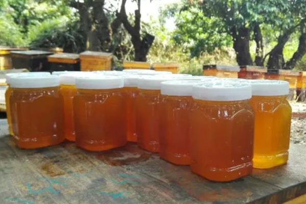 荔枝蜜是不是蜂蜜，属于单花蜜里面的一个种类