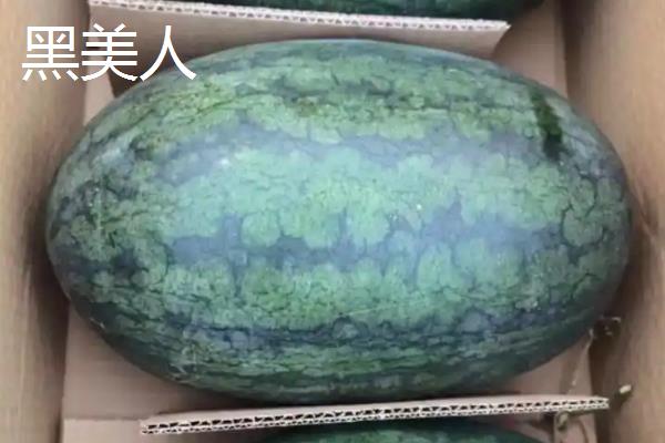 西瓜的品种，常见的有黑美人、京欣西瓜等