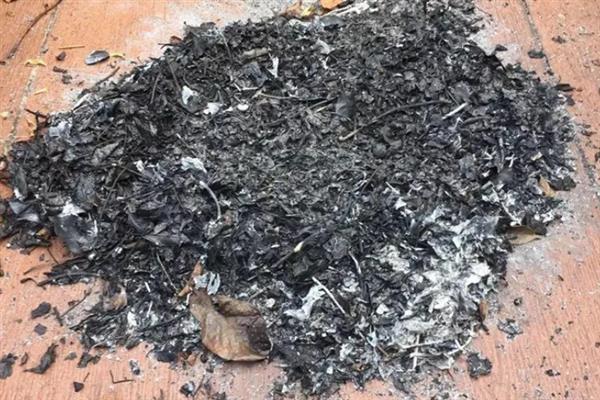 什么植物不能用草木灰，不适用于山茶花、栀子花等喜酸品种