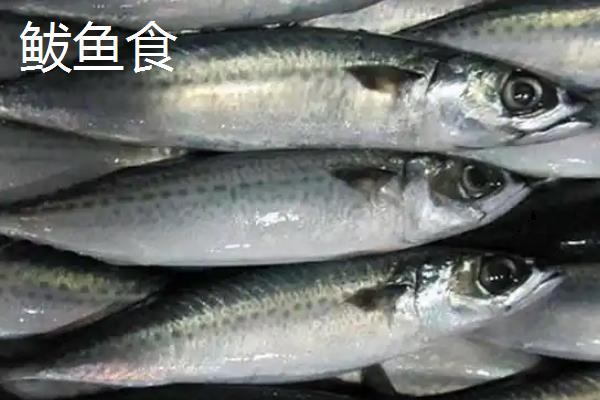 小型海水鱼有哪些，推荐鲅鱼食、石九公等