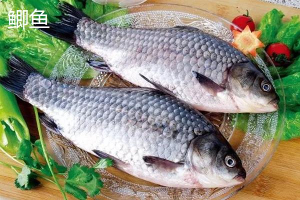 南极磷虾狂拉的简介，属于腥香型商品饵料