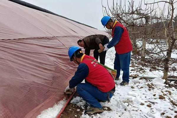 辣椒苗叶片发黄如何处理，土壤太过湿润时暂停浇水即可恢复