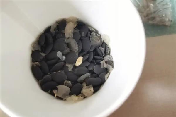 丝瓜是哪个季节的菜，是夏秋两季的菜