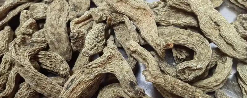 乌天麻简介，其花期为6-7月