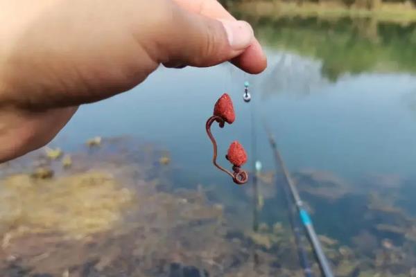 玉米粒钓鳊鱼是钓半水还是钓底，打重窝钓底是主流钓法