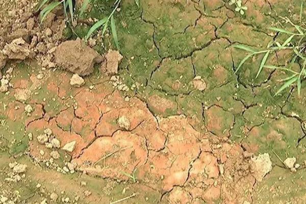 容易造成土壤板结的肥料是什么，以硫酸铵、氯化铵为主