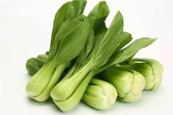 含硒的蔬菜有哪些，有上海青、木耳菜、香菇、红薯等