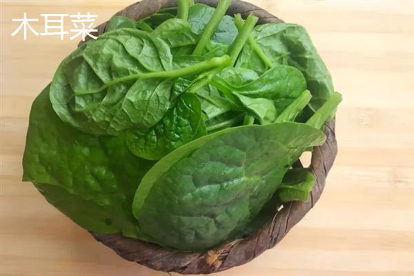 含硒的蔬菜有哪些，有上海青、木耳菜、香菇、红薯等