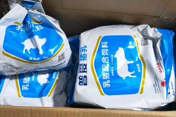 如何人工喂养小猪，前7天饲喂奶粉之后改喂教槽料