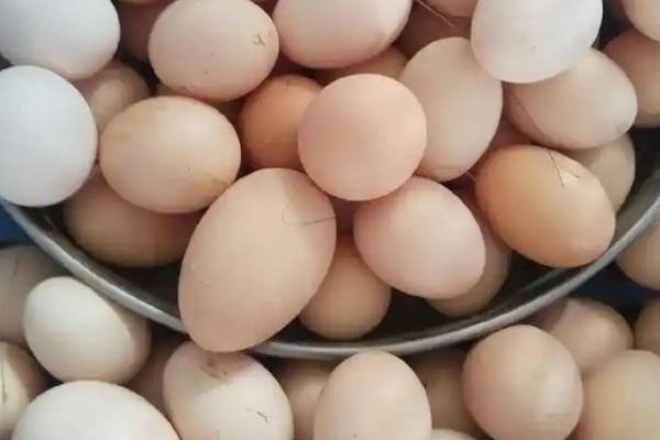 芒种节气吃什么食物，可以吃蛋、青梅、君踏菜等