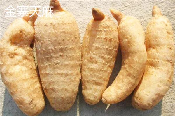 什么地方产的天麻好，大方、青川和金寨的天麻都比较有名