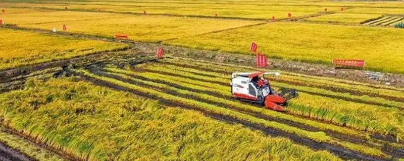 什么是三农工作，指有关农村、农业和农民的工作