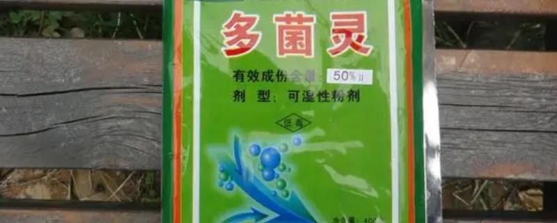 多菌灵喷叶面还是灌根好，推荐用叶面喷雾的方式