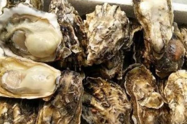 生蚝开壳清洗的方法，先用麻油浸泡
