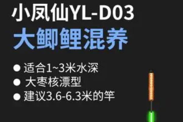 电子漂推荐，以下6款性价比高