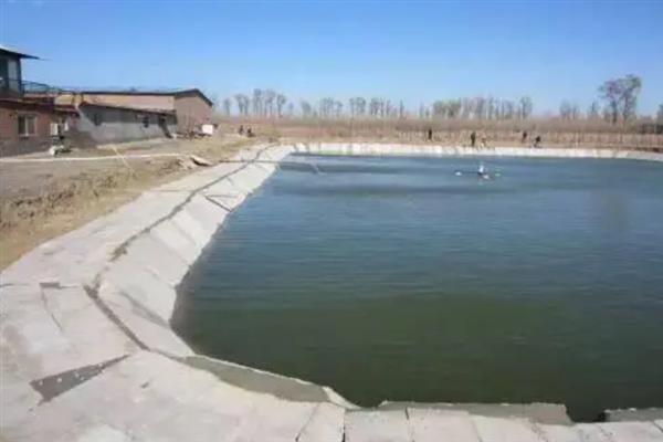 淡水鲈鱼怎么养殖，水体透明度要保持在30-40厘米