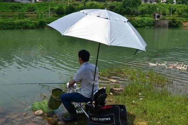 夏季钓鳊鱼的技巧，首先选择适合的钓位