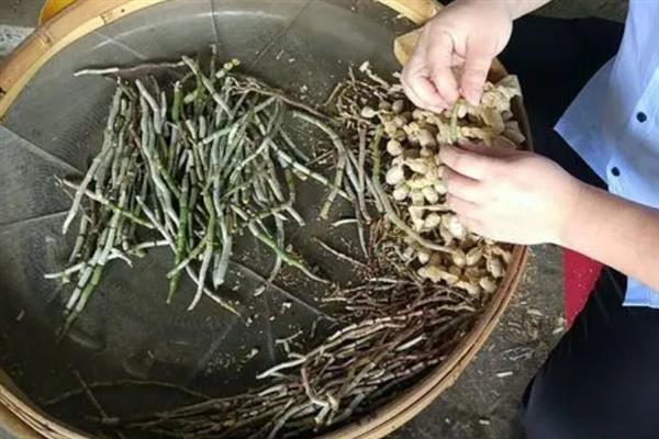 铁皮石斛的价格，因规格、品牌等条件而异
