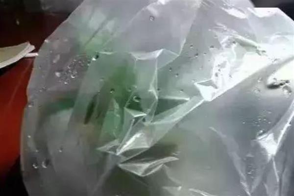 绿萝冬天可以繁殖吗，冬天也是能繁殖的