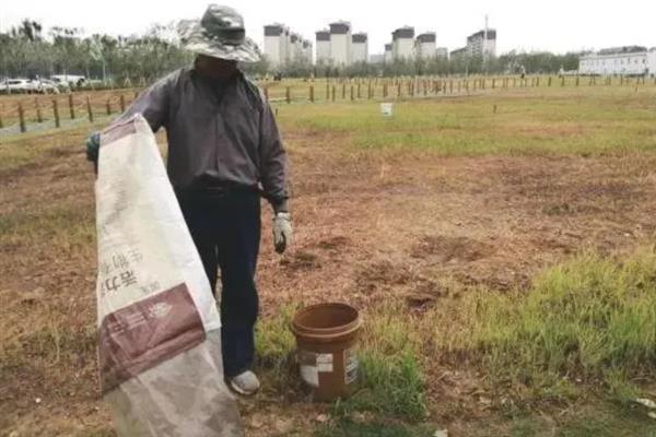 苜蓿的种植时间，建议在2-4月进行