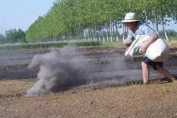 苜蓿的种植时间，建议在2-4月进行