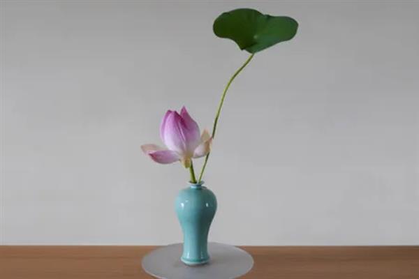 荷花的瓶养方法，夏季每隔1-2天换一次水