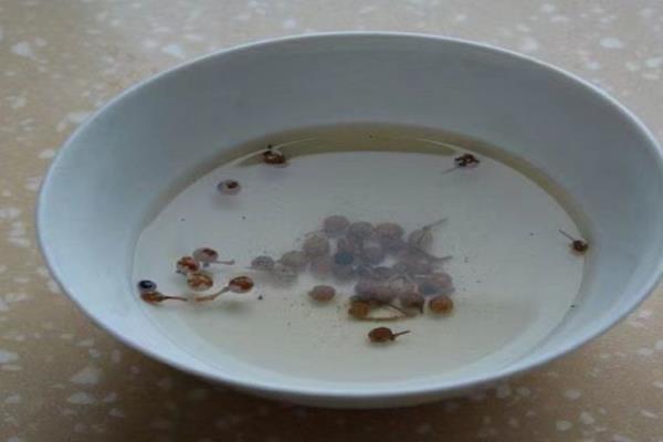 花椒油的产地，四川汉源、茂汶一带产出的花椒油最出名