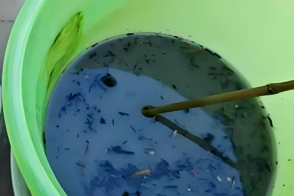 蚕豆壳如何做花肥，需要进行发酵处理