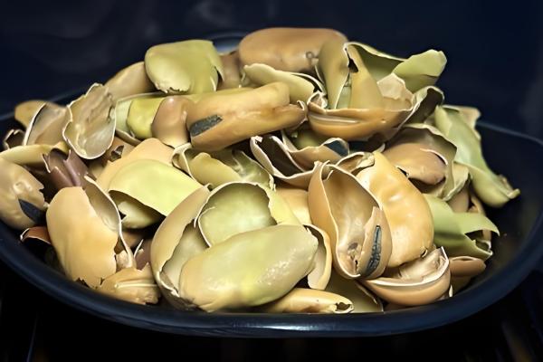 蚕豆壳如何做花肥，需要进行发酵处理