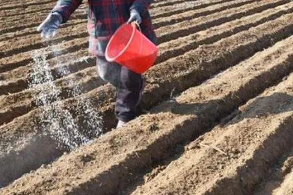 碳酸氢铵的简介,属于无硫酸根氮肥