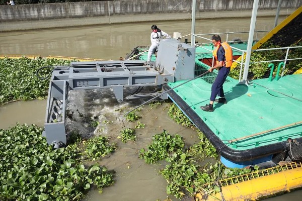 清除水葫芦的方法,可采取人工打捞、器械打捞等方式