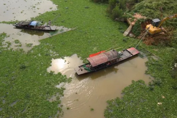 清除水葫芦的方法,可采取人工打捞、器械打捞等方式