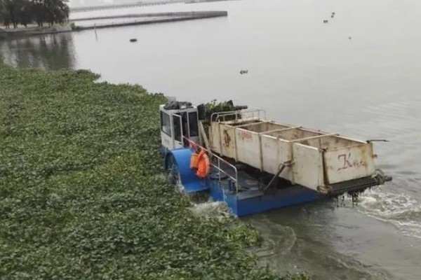 清除水葫芦的方法,可采取人工打捞、器械打捞等方式